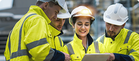 SEE & Caneco Customer portal